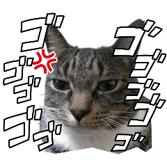 ui_20260517142707