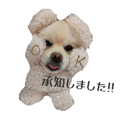 totutotuko_20260517142315