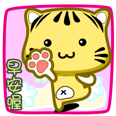 可愛條紋小貓貓!!!CAT208