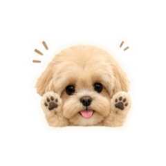 Bogrey.H
