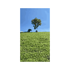 ma_202605