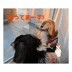cozy_20260521190040