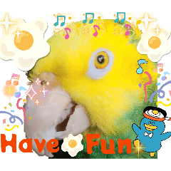 Noah bird