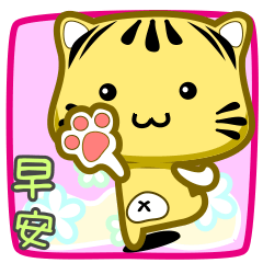 可愛條紋小貓貓!!!CAT209