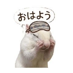 kana_20260517144326