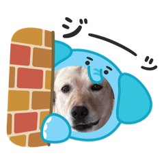 24_20260517155316