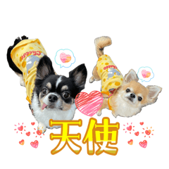 kazuya_20260517155038