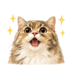 YUKi_cat1