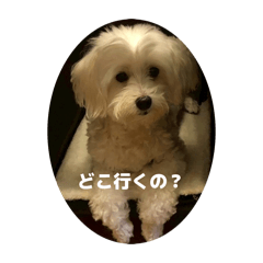 ty_20260517155846