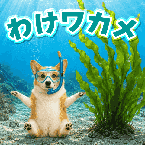 Dajare Corgi [POP UP]