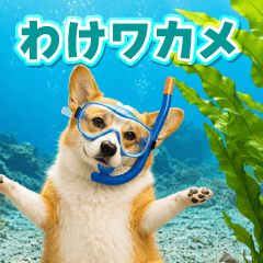 飛び出す☆ダジャレコーギーの日常スタンプ
