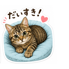 choco_20260517163940