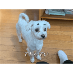 rina_20260517164042