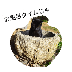 Mame_20260517165654