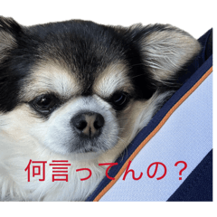 rinyannyannyan_20260517170311