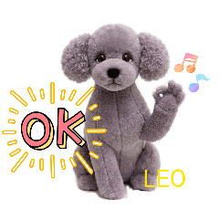 SUZU LEO_20260517170452