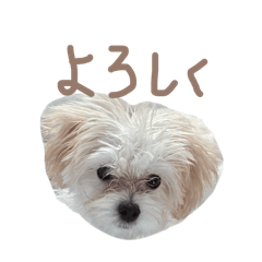 marutachi_20260517135943