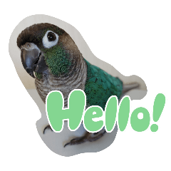 pepe_20260517140140
