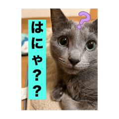 soramama_20260517142647