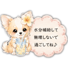 Mary rose25_20260517143237