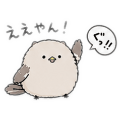 reo_20260517151654