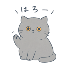 BUN_20260517154400