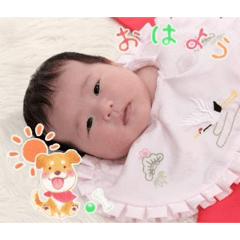 totomaster_20260517154602