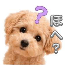kiri_20260517160210