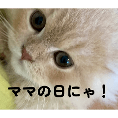 nooooo!_20260517155939