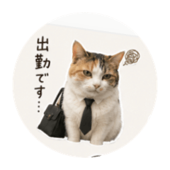 mochifumi_20260517161021