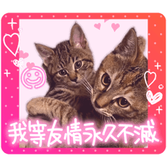 yayoi_20260517170050