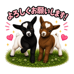 Love&Pony_20260517203015