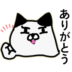 猫タロウのあいさつ