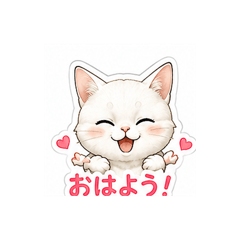 White Cat Freedom