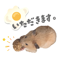 miyuukin