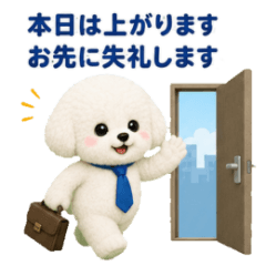 Fluffy Bichon Business Phrases