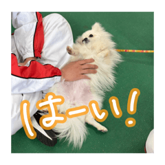 onigiri_20260522003326