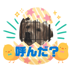 24_20260517185053