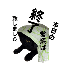 cub-chan for business?
