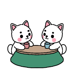 PAKAMOGOLY_20260517180316