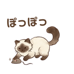 Po_20260517175854