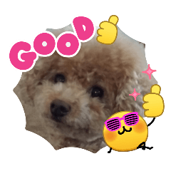 yui_yuzu sticker
