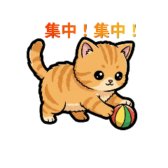 A cat's feelings: everyday life