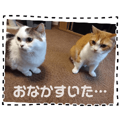 3030_20260517200230