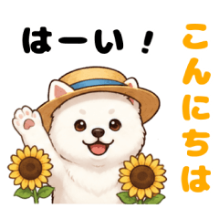 Fluffy Akita Inu: Daily Healing