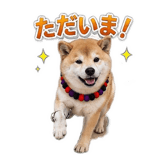 Hana_20260507170802