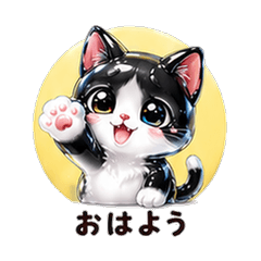 Crystal Jelly Tuxedo  Cat Boyfriend