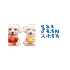 短短斯諾動態