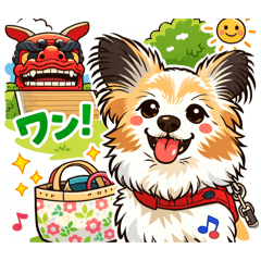 hachi_20260517191729