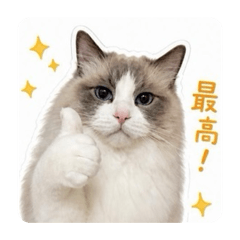 Yuka_20260517191737